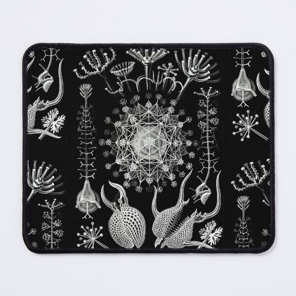 Item preview, Phaeodaria–Rohrstrahlinge from Kunstformen der Natur (1904) by Ernst Haeckel designed and sold by TeeARTHY.