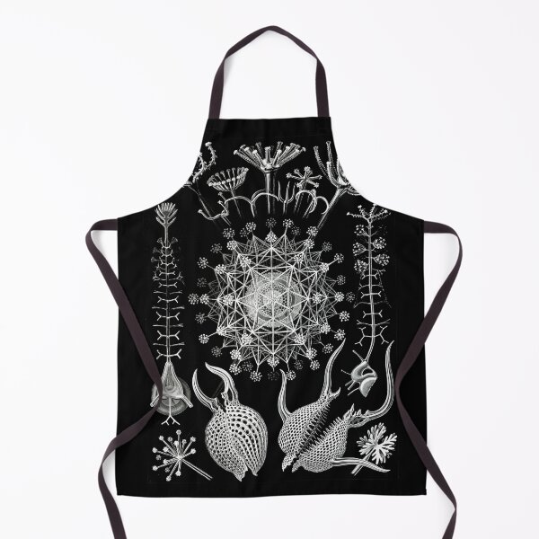 Item preview, Phaeodaria–Rohrstrahlinge from Kunstformen der Natur (1904) by Ernst Haeckel designed and sold by TeeARTHY.