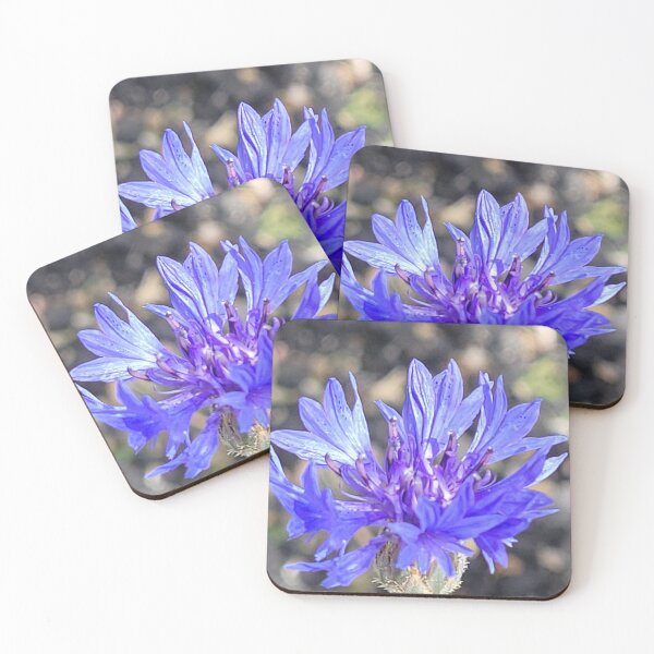 Item preview, beautiful macro flower in Virgina City Nevada designed and sold by grey-hand-art.