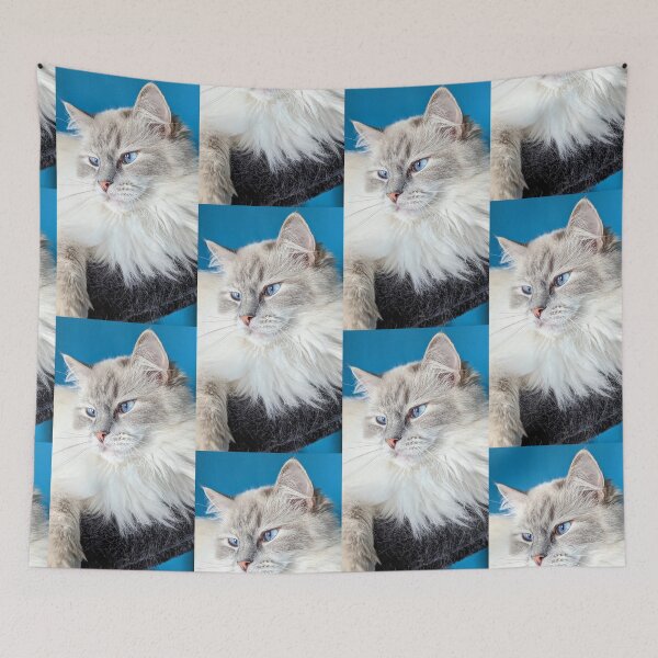 Item preview, Cute ragdoll cat face designed and sold by Fluffycat2020.