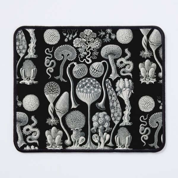 Item preview, Mycetozoa–Pilztiere -slime molds (1904) by Ernst Haeckel designed and sold by TeeARTHY.