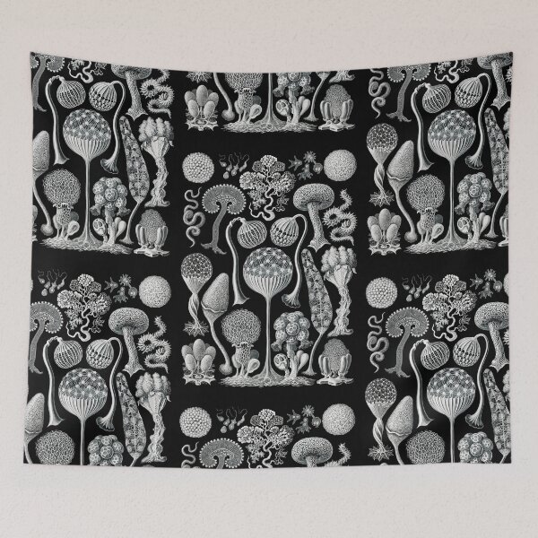 Item preview, Mycetozoa–Pilztiere -slime molds (1904) by Ernst Haeckel designed and sold by TeeARTHY.
