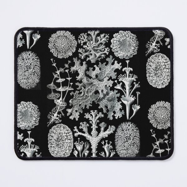 Item preview, Lichenes–Flechten -Illustration lichens  (1904) by Ernst Haeckel. Original from Library of Congress designed and sold by TeeARTHY.