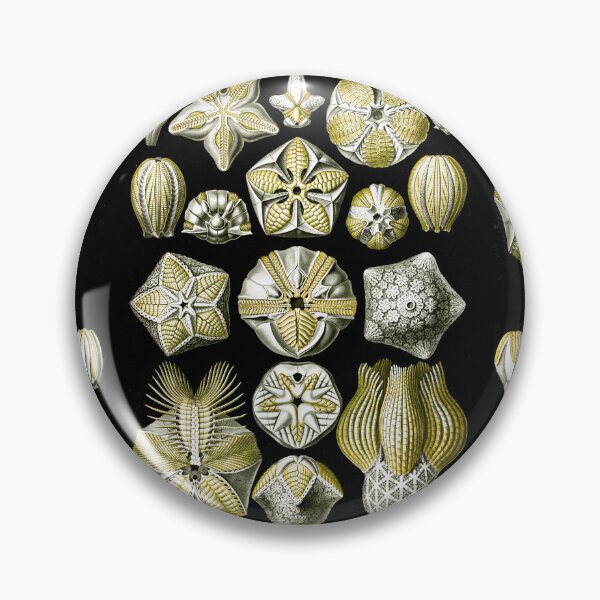 Item preview, Blastoïdea–Knospensterne from Kunstformen der Natur (1904) by Ernst Haeckel designed and sold by TeeARTHY.