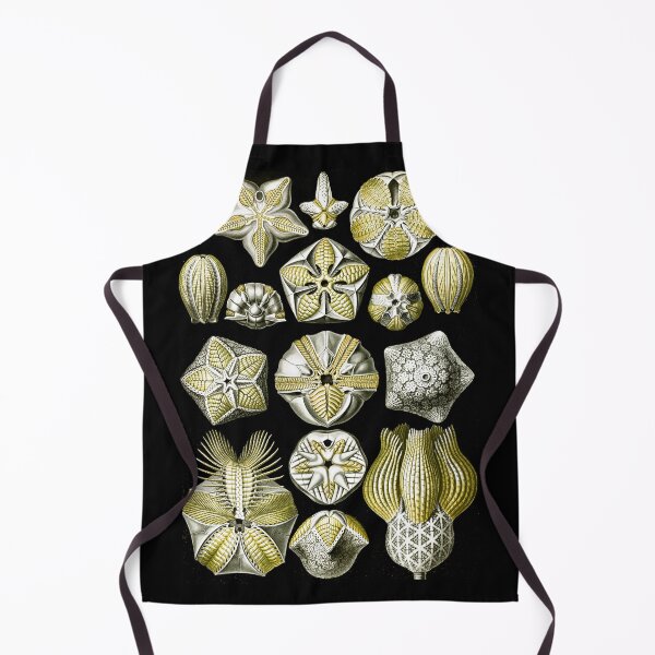 Item preview, Blastoïdea–Knospensterne from Kunstformen der Natur (1904) by Ernst Haeckel designed and sold by TeeARTHY.