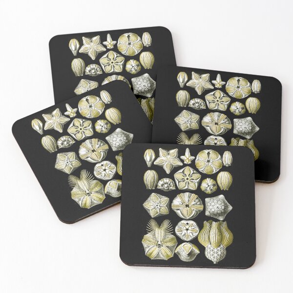 Item preview, Blastoïdea–Knospensterne from Kunstformen der Natur (1904) by Ernst Haeckel designed and sold by TeeARTHY.