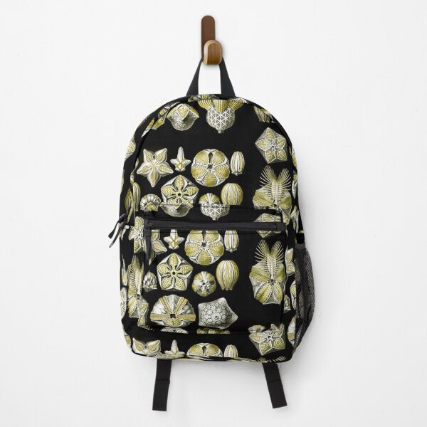 Item preview, Blastoïdea–Knospensterne from Kunstformen der Natur (1904) by Ernst Haeckel designed and sold by TeeARTHY.