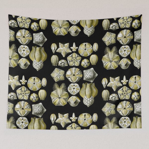 Item preview, Blastoïdea–Knospensterne from Kunstformen der Natur (1904) by Ernst Haeckel designed and sold by TeeARTHY.