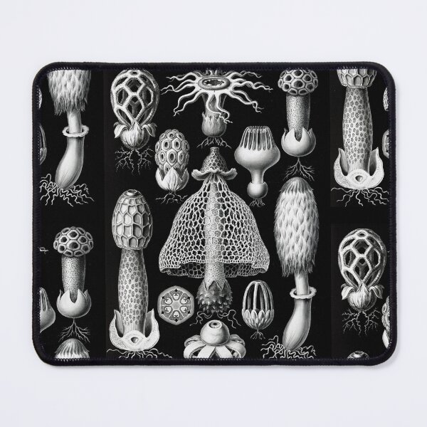 Item preview, Basimycetes–Schwammpilze -Illustration stinkhorn mushrooms (1904) by Ernst Haeckel designed and sold by TeeARTHY.