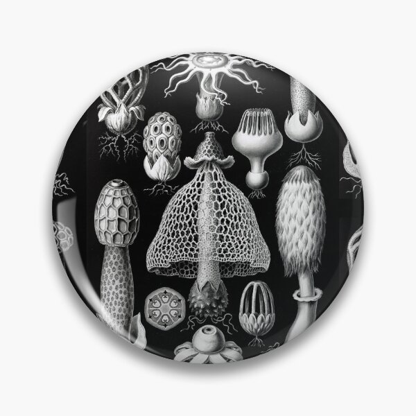 Item preview, Basimycetes–Schwammpilze -Illustration stinkhorn mushrooms (1904) by Ernst Haeckel designed and sold by TeeARTHY.