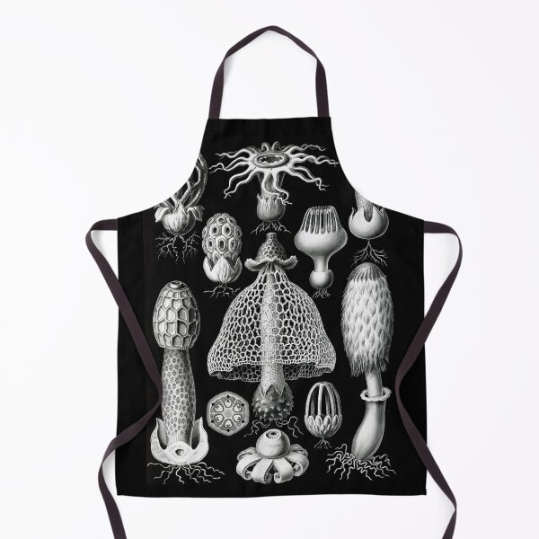 Item preview, Basimycetes–Schwammpilze -Illustration stinkhorn mushrooms (1904) by Ernst Haeckel designed and sold by TeeARTHY.