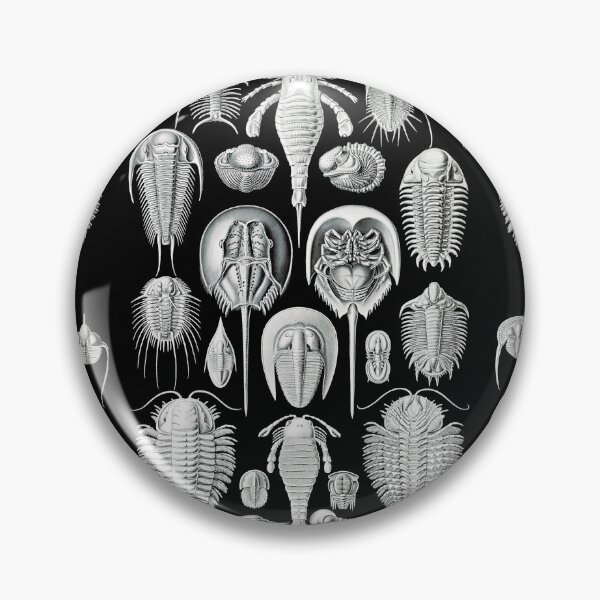 Item preview, Aspidonia–Schildtiere -Illustration horseshoe crabs by Ernst Haeckel designed and sold by TeeARTHY.