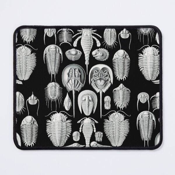 Item preview, Aspidonia–Schildtiere -Illustration horseshoe crabs by Ernst Haeckel designed and sold by TeeARTHY.