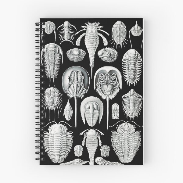 Item preview, Aspidonia–Schildtiere -Illustration horseshoe crabs by Ernst Haeckel designed and sold by TeeARTHY.