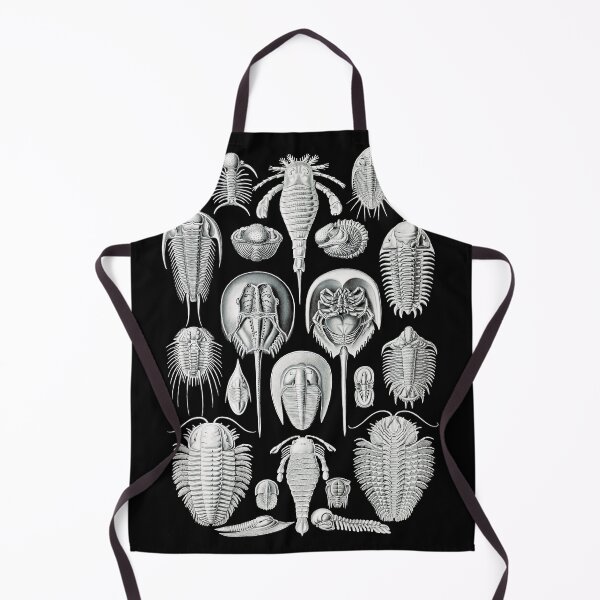 Item preview, Aspidonia–Schildtiere -Illustration horseshoe crabs by Ernst Haeckel designed and sold by TeeARTHY.