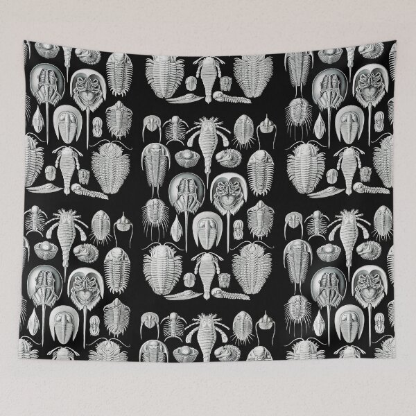 Item preview, Aspidonia–Schildtiere -Illustration horseshoe crabs by Ernst Haeckel designed and sold by TeeARTHY.