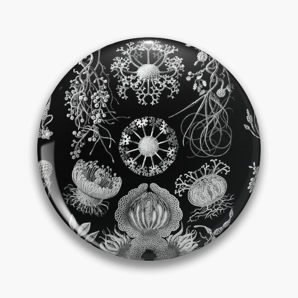 Item preview, Ascomycetes–Schlauchpilze -Illustration fungi by Ernst Haeckel designed and sold by TeeARTHY.