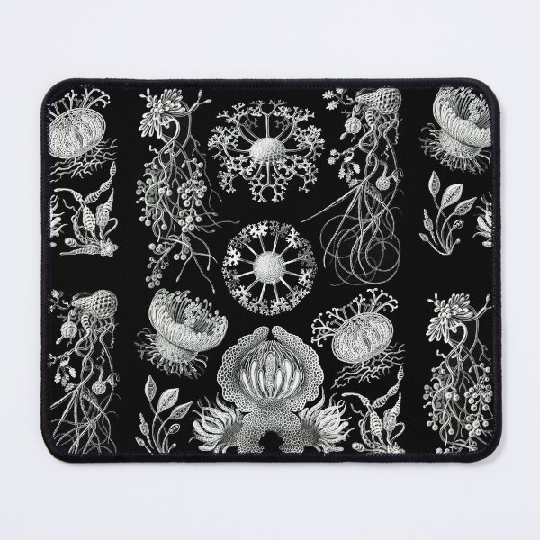 Item preview, Ascomycetes–Schlauchpilze -Illustration fungi by Ernst Haeckel designed and sold by TeeARTHY.