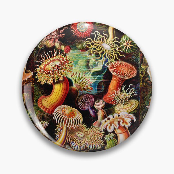 Item preview, Actiniae–Seeanemonen  by Ernst Haeckel -Actiniae Sea Anemones by Ernst  designed and sold by TeeARTHY.