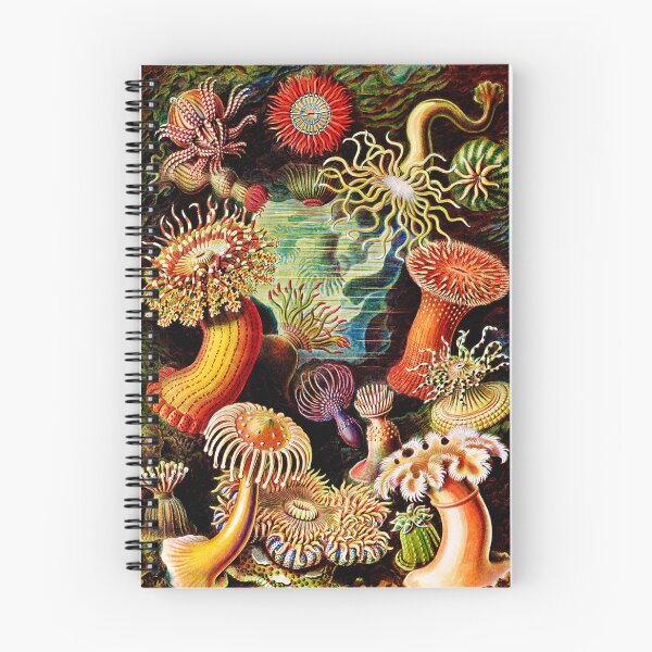 Item preview, Actiniae–Seeanemonen  by Ernst Haeckel -Actiniae Sea Anemones by Ernst  designed and sold by TeeARTHY.