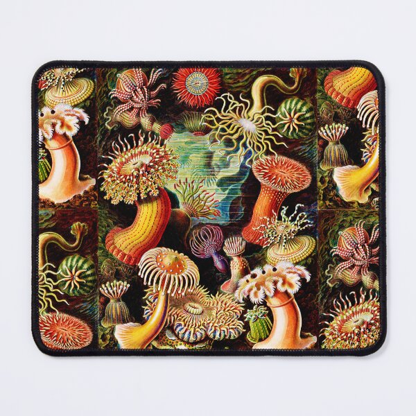 Item preview, Actiniae–Seeanemonen by Ernst Haeckel -Actiniae Sea Anemones by Ernst designed and sold by TeeARTHY.