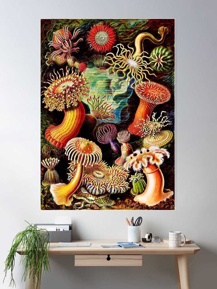 絵画 anemone il_fullxfull.2544618808_rsrw.jpg