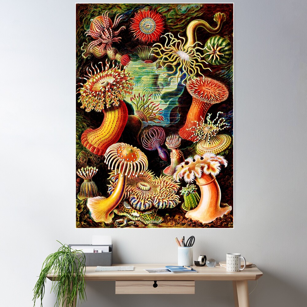 cposter,large,square_product,