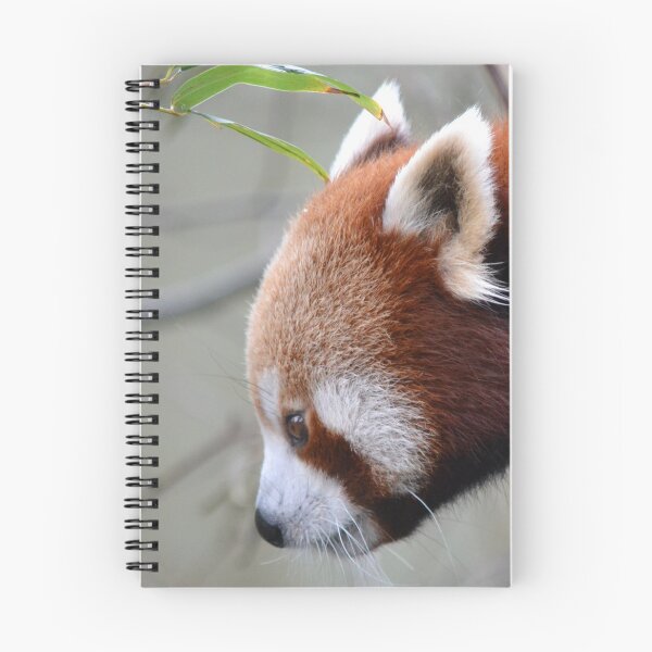 Item preview, Red panda up close designed and sold by lizdomett.