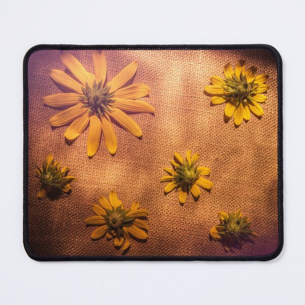 Item preview, Backs designed and sold by Jim Love.