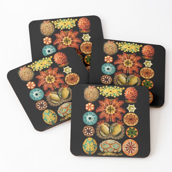 Item preview, Ascidiae–Seescheiden- sea squirts  by Ernst Haeckel  designed and sold by TeeARTHY.