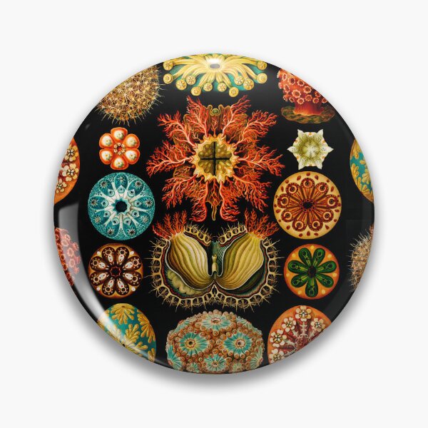 Item preview, Ascidiae–Seescheiden- sea squirts  by Ernst Haeckel  designed and sold by TeeARTHY.