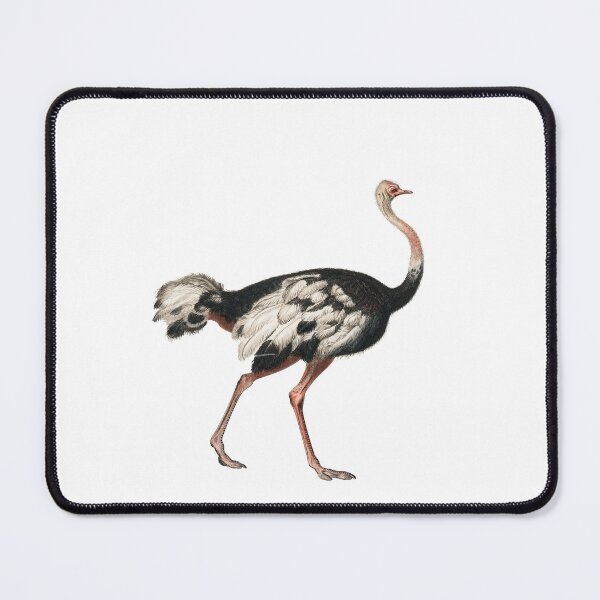 Item preview, Beware of the Ostrich designed and sold by Groovy Gringa.