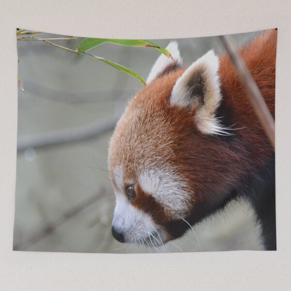 Item preview, Red panda up close designed and sold by lizdomett.