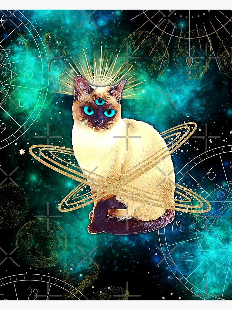 A view from orbit - space cat painting series (3/6) : r/cats