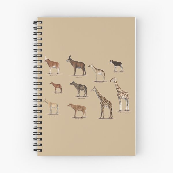 Item preview, Giraffidae- giraffe, okapi, and their extinct relatives. designed and sold by synapsid.