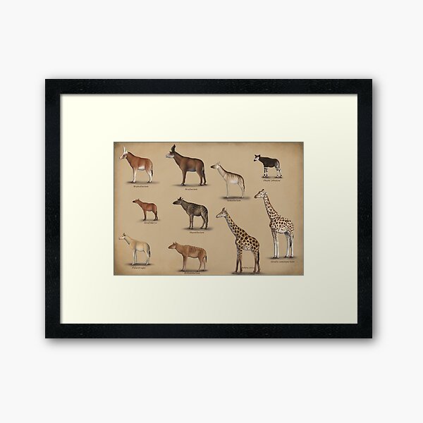 Item preview, Giraffidae- giraffe, okapi, and their extinct relatives. designed and sold by synapsid.