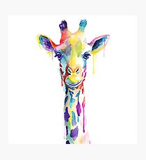 Rainbow Giraffe Photographic Print