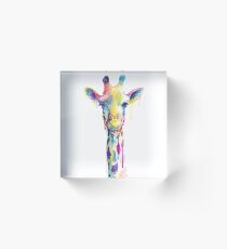 Rainbow Giraffe Acrylic Block