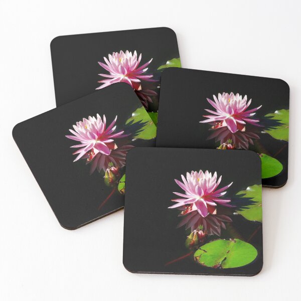 Item preview, Pink Water Lily designed and sold by BBrightman.