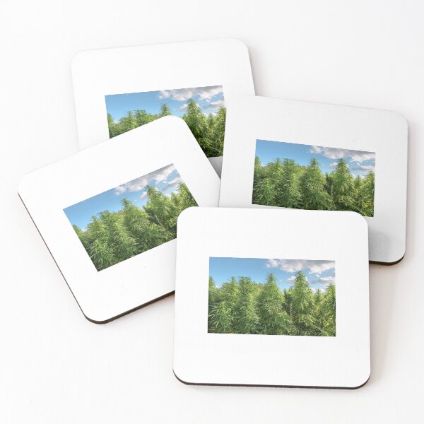 Item preview, Cannabis Field 1 Weed Room Wall Decor Picture Motivation Decor designed and sold by ConradSignature.