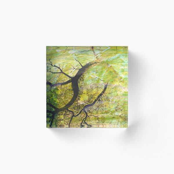 Black riverine on green Acrylic Block