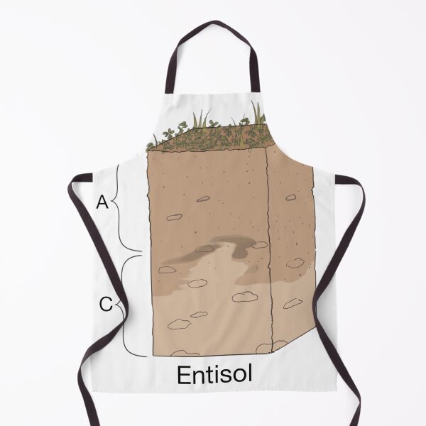Item preview, Entisol Soil Horizon designed and sold by Punchy Academic.