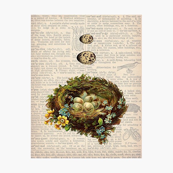 Item preview, Bird Nest Naturalist  designed and sold by Samantha  Michael.