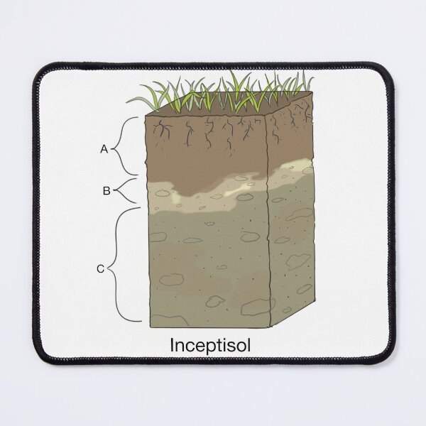 Item preview, Inceptisol Soil Horizon designed and sold by Punchy Academic.