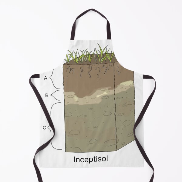 Item preview, Inceptisol Soil Horizon designed and sold by Punchy Academic.