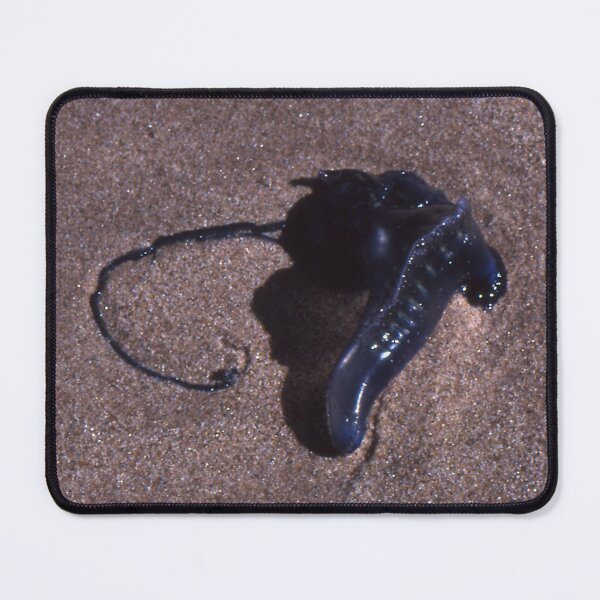 Item preview, Bluebottle, Werrong Beach, Australia 2003 designed and sold by muz2142.