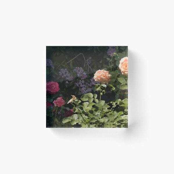 Artikelvorschau, Rosengarten entworfen und verkauft von Lucidesigns.