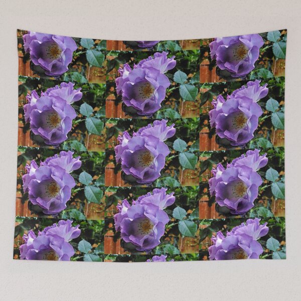 Item preview, Blue For You - Beautiful Floribunda Rose designed and sold by BlueMoonRose.