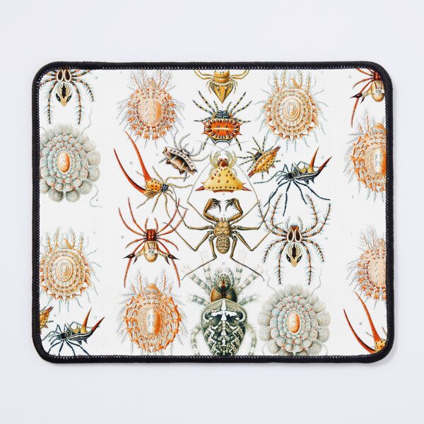 Item preview, Arachnida–Spinnentiere  - Spiders by Ernst Haeckel designed and sold by TeeARTHY.