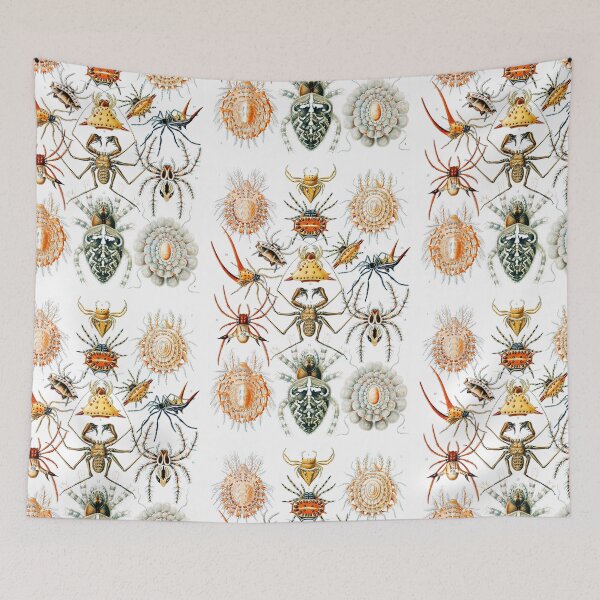 Item preview, Arachnida–Spinnentiere  - Spiders by Ernst Haeckel designed and sold by TeeARTHY.